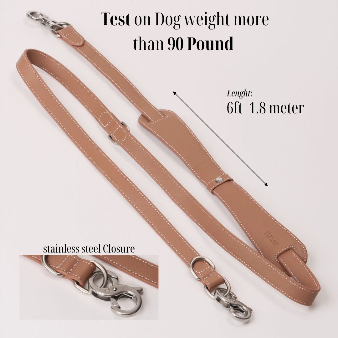 The Leash | Hand Painted