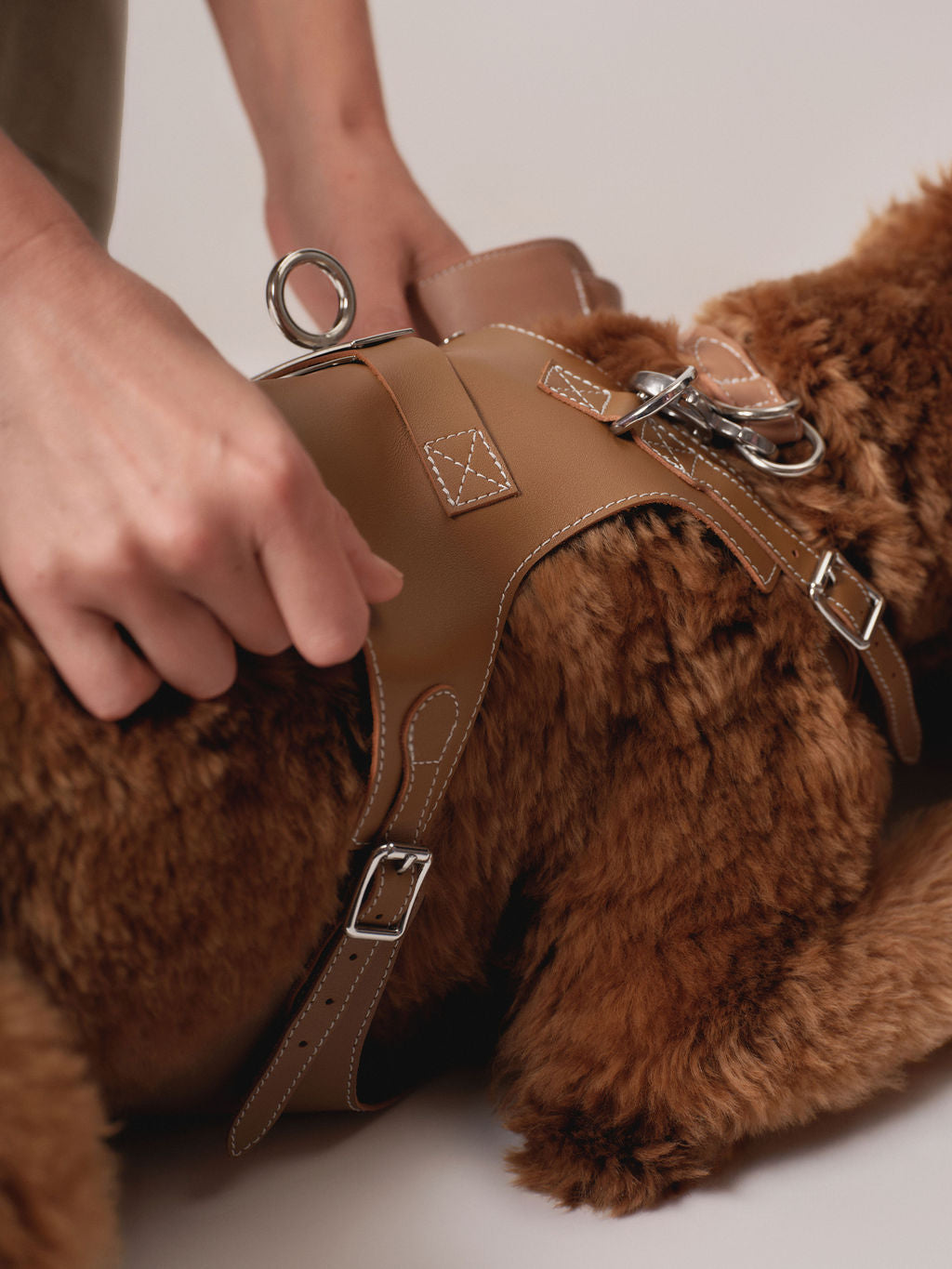 The Harness