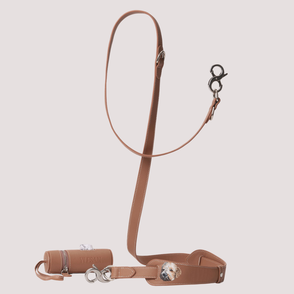 The Leash | Hand Painted