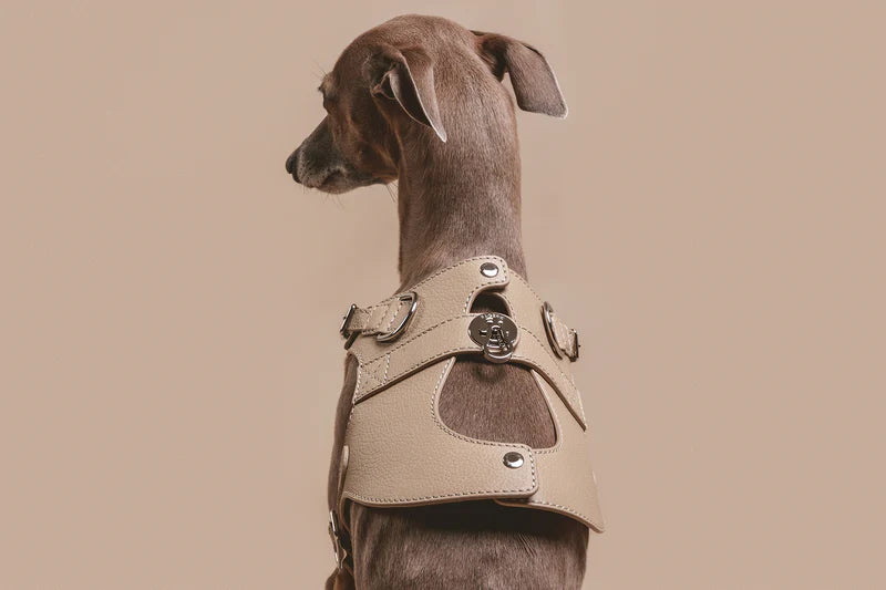 The Harness