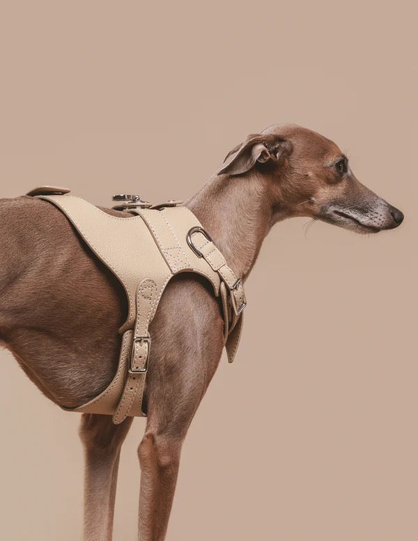 The Harness
