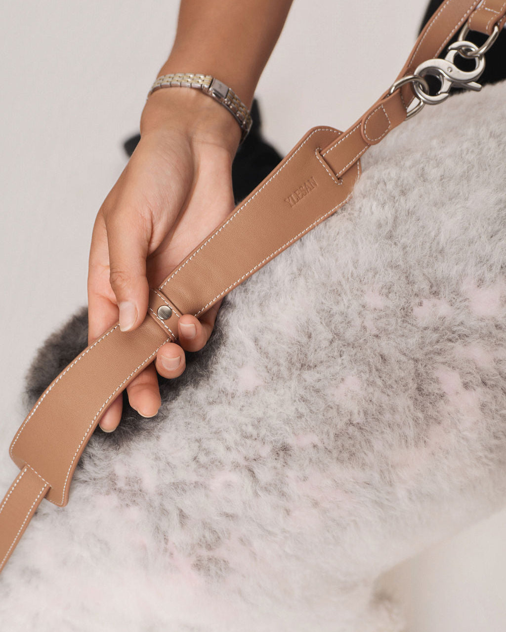 The Leash